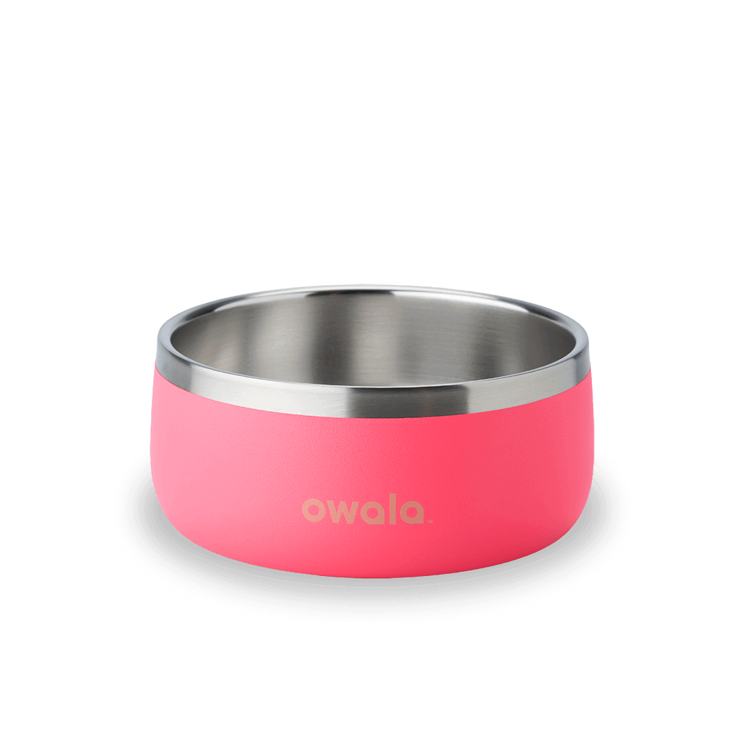 SC_24oz_Hyper_Flamingo-1080x1080-f521e30_fe48e062-7b64-4a90-9577-d4b694933f39.png